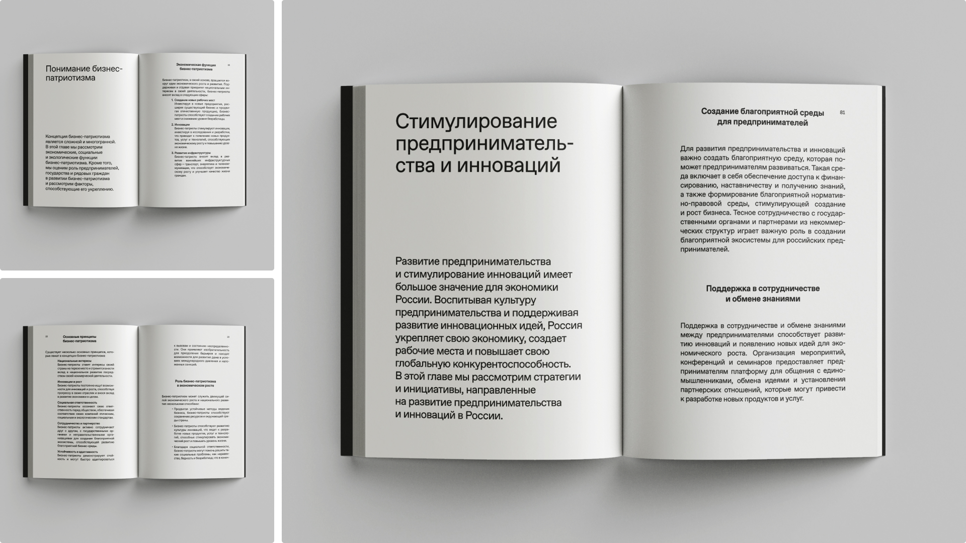 Варианты разворотов книги «Краум»