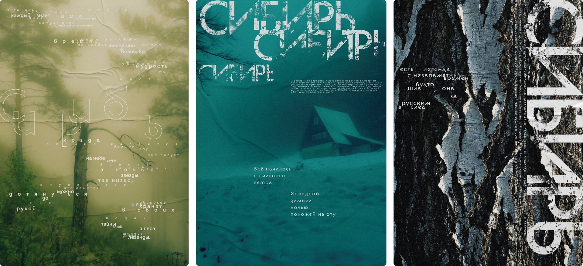 Три постера проекта «Сибирь»: лес, зимний дом и кора дерева